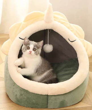 𝐁𝐞𝐝𝐬 & 𝐁𝐥𝐚𝐧𝐤𝐞𝐭𝐬 𝐟𝐨𝐫 𝐲𝐨𝐮𝐫 𝐟𝐮𝐫𝐫𝐲 𝐜𝐨𝐦𝐩𝐚𝐧𝐢𝐨𝐧