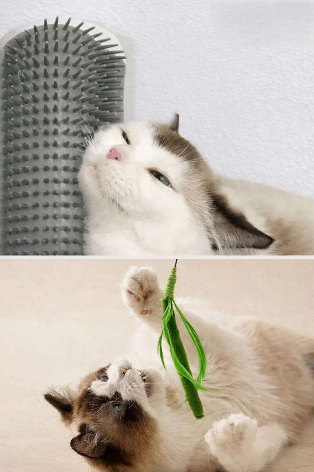 𝐓𝐨𝐲𝐬 & 𝐀𝐜𝐜𝐞𝐬𝐬𝐨𝐫𝐢𝐞𝐬 𝐂𝐨𝐥𝐥𝐞𝐜𝐭𝐢𝐨𝐧 - Snoutik pet store