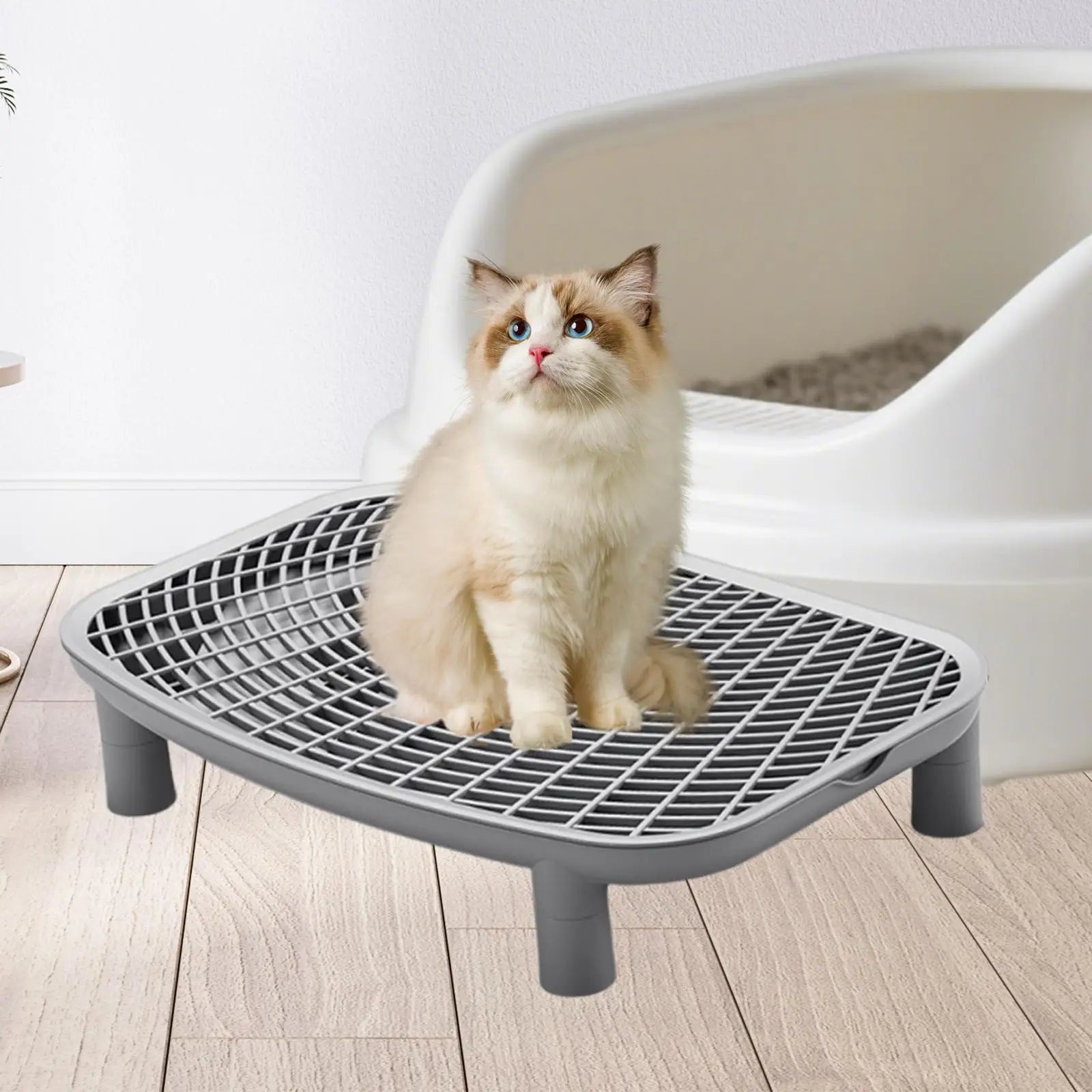Snoutik Cat Litter Ramp