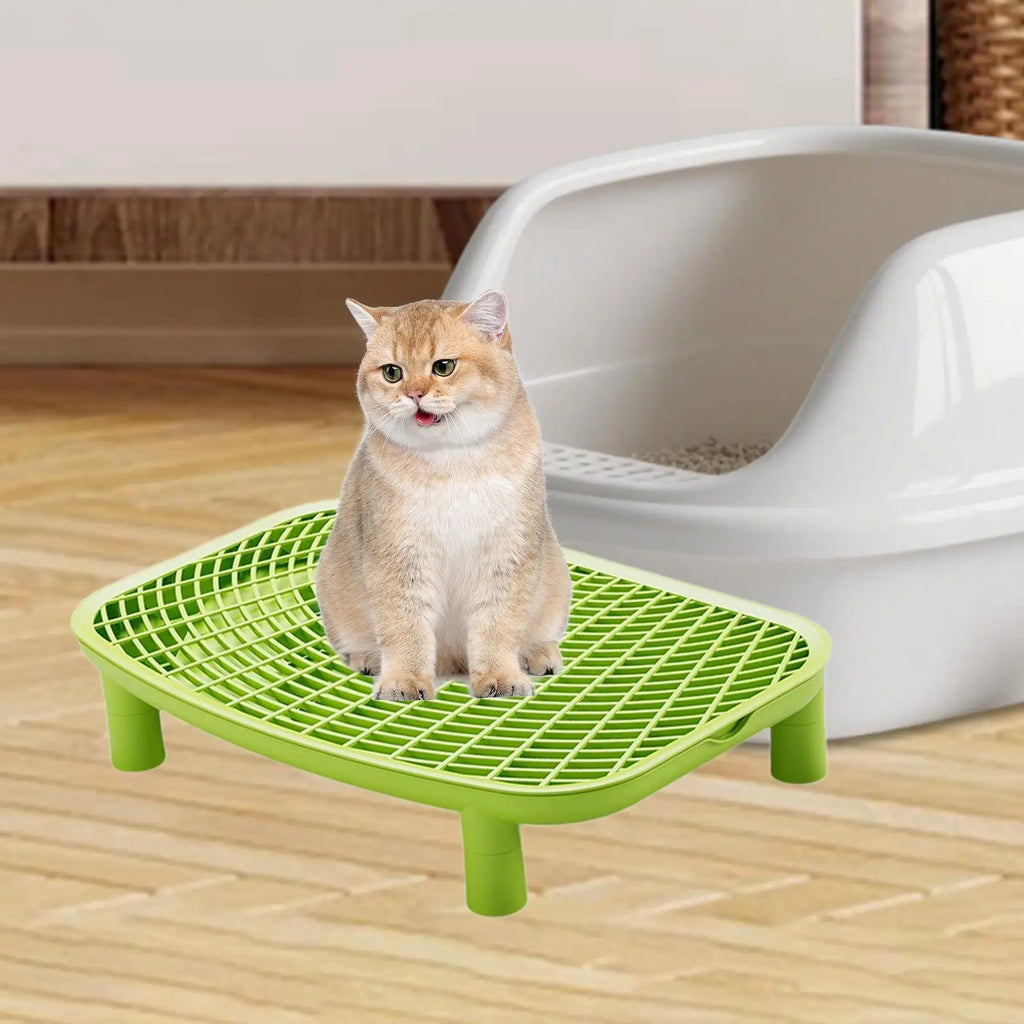 Snoutik Cat Litter Ramp