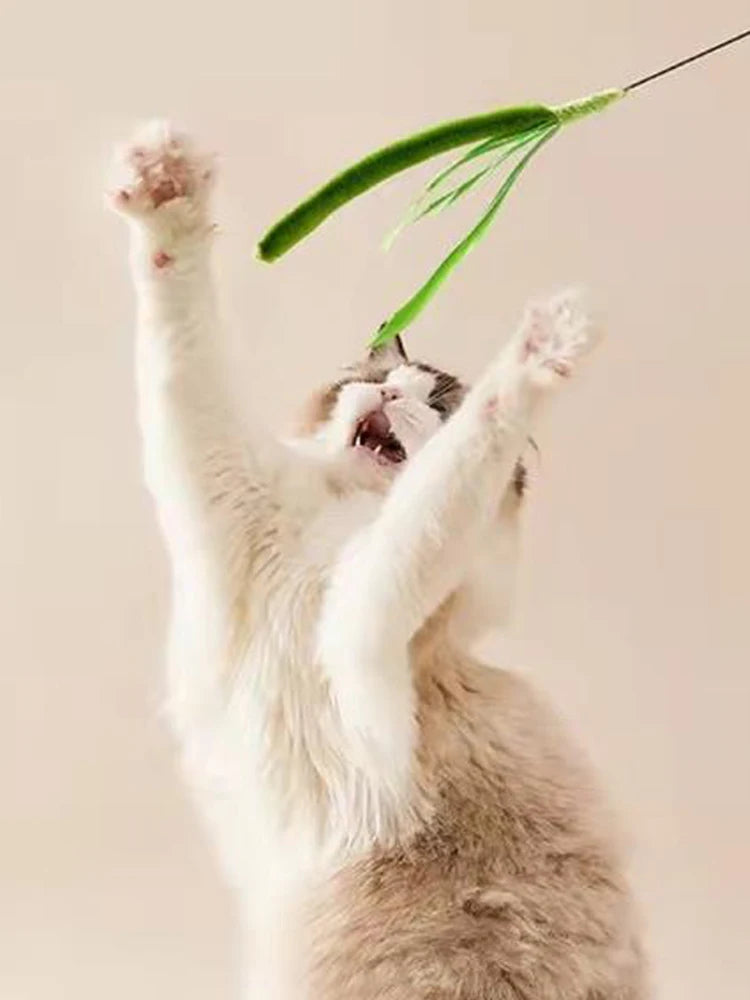 Snoutik FeatherFlex Cat Teaser
