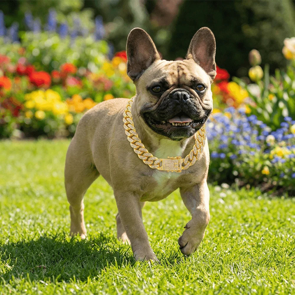 Snoutik Premium Dog Collar
