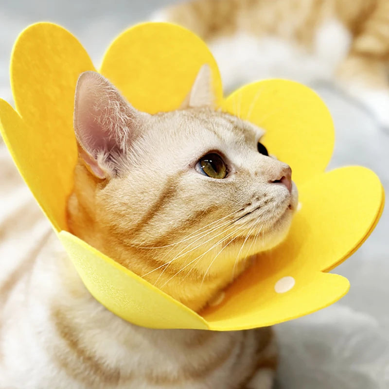 Snoutik Pet Recovery Cone Collar
