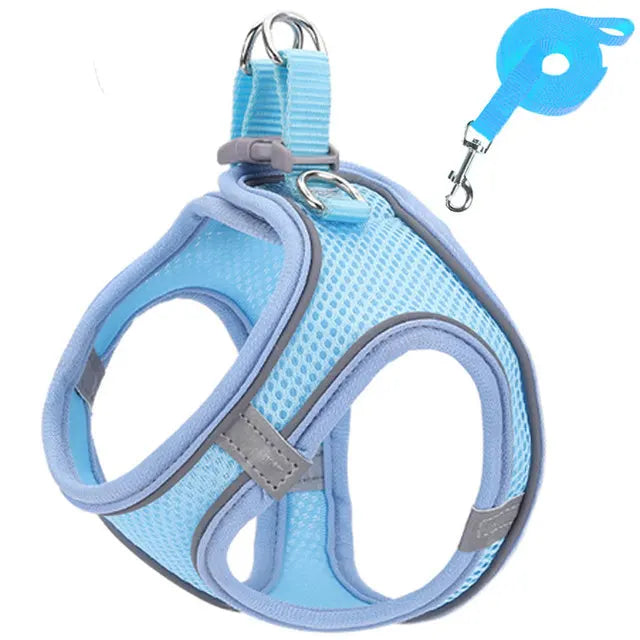 Snoutik Reflective Harness & Leash Set