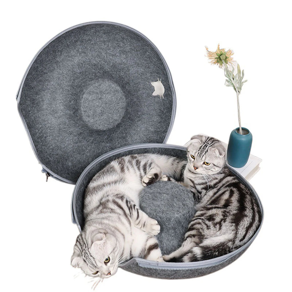 Snoutik Donut Cat Tunnel