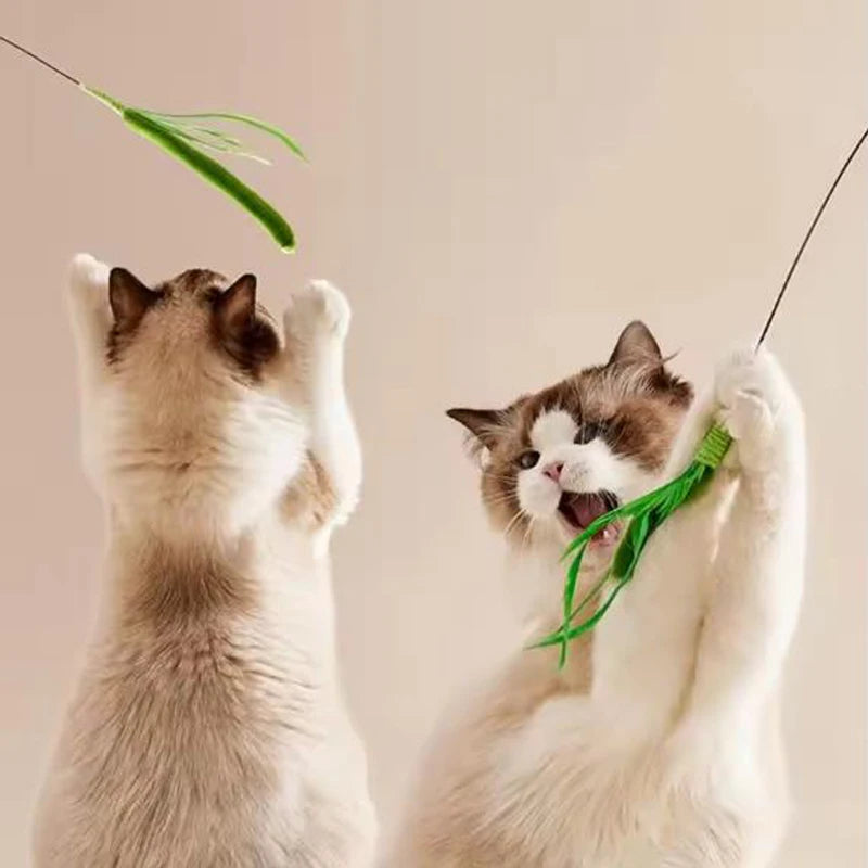 Snoutik FeatherFlex Cat Teaser