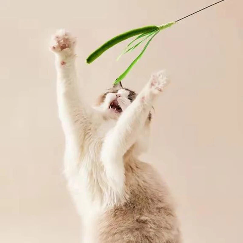 Snoutik FeatherFlex Cat Teaser