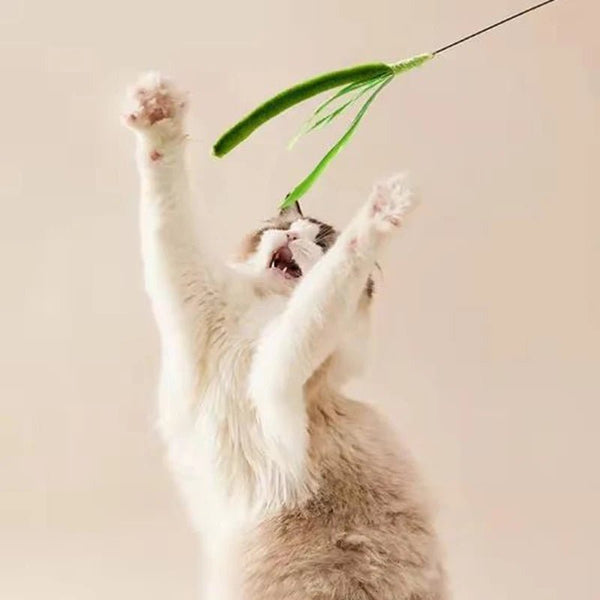 Snoutik FeatherFlex Cat Teaser - Snoutik pet store