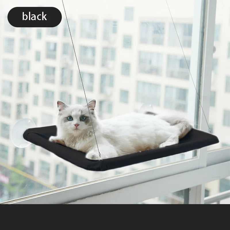 Cute cat hammock