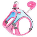 Snoutik Reflective Harness & Leash Set