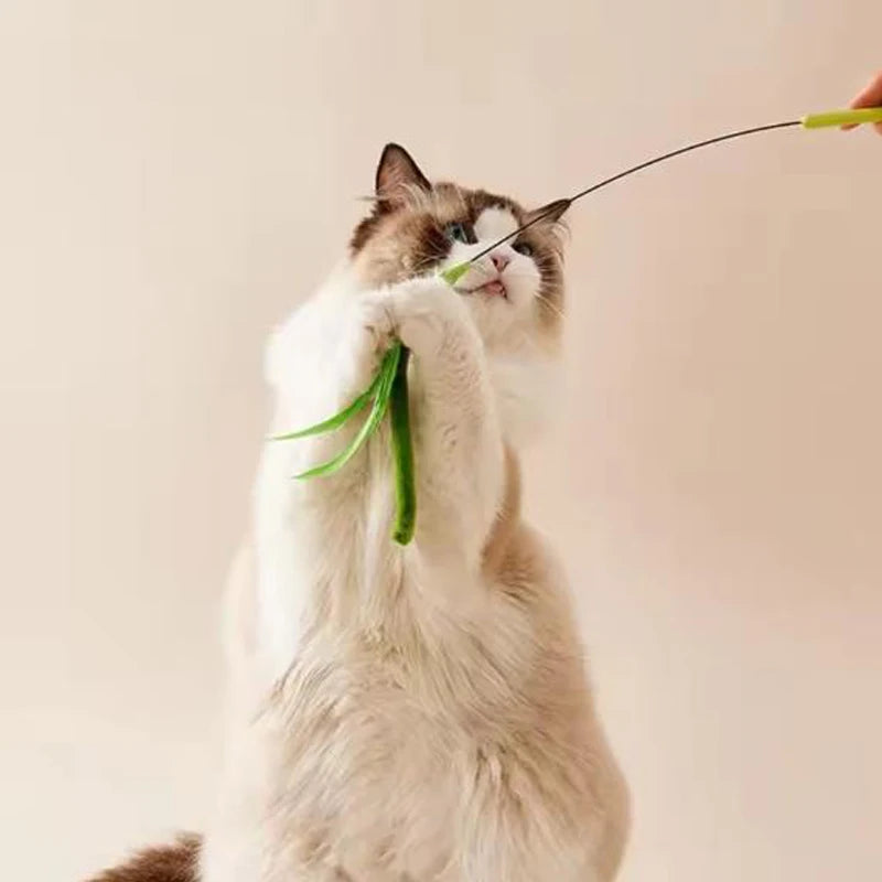Snoutik FeatherFlex Cat Teaser