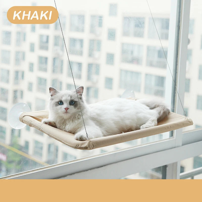 Cute cat hammock