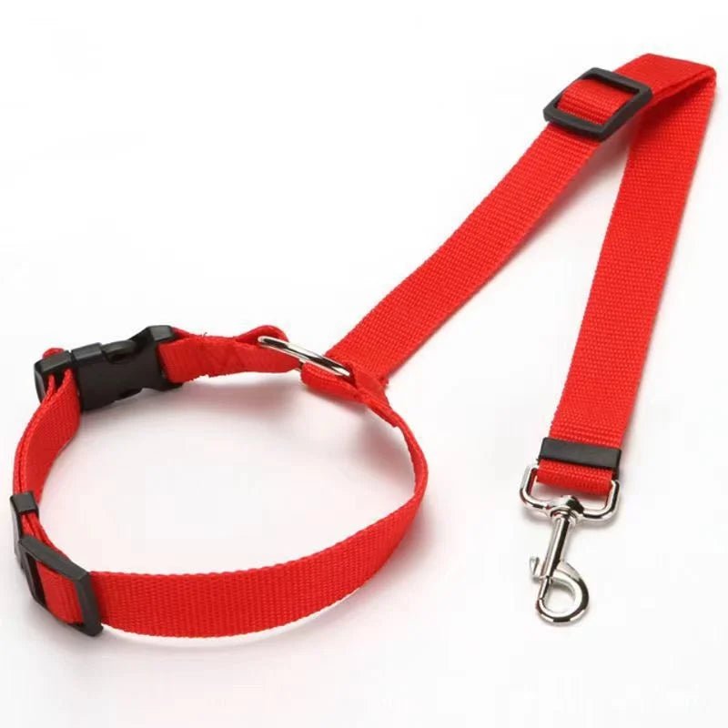 Snoutik Reflective Pet Car Harness & Leash - Snoutik pet store