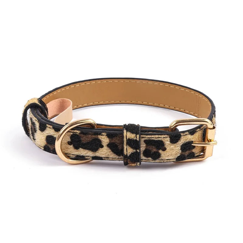 Snoutik Prestige Leather Collar for Pets