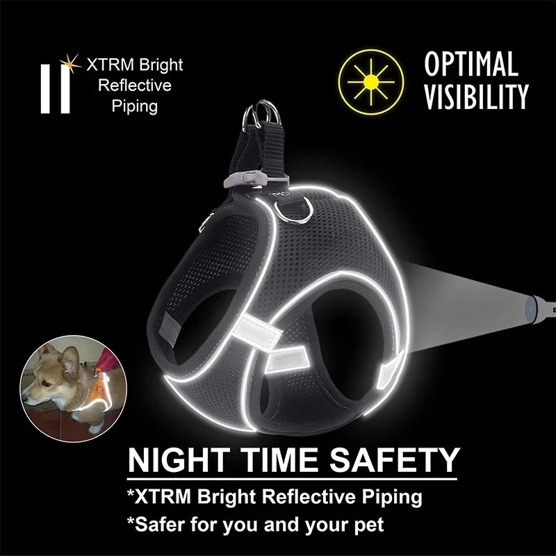 Snoutik Reflective Harness & Leash Set