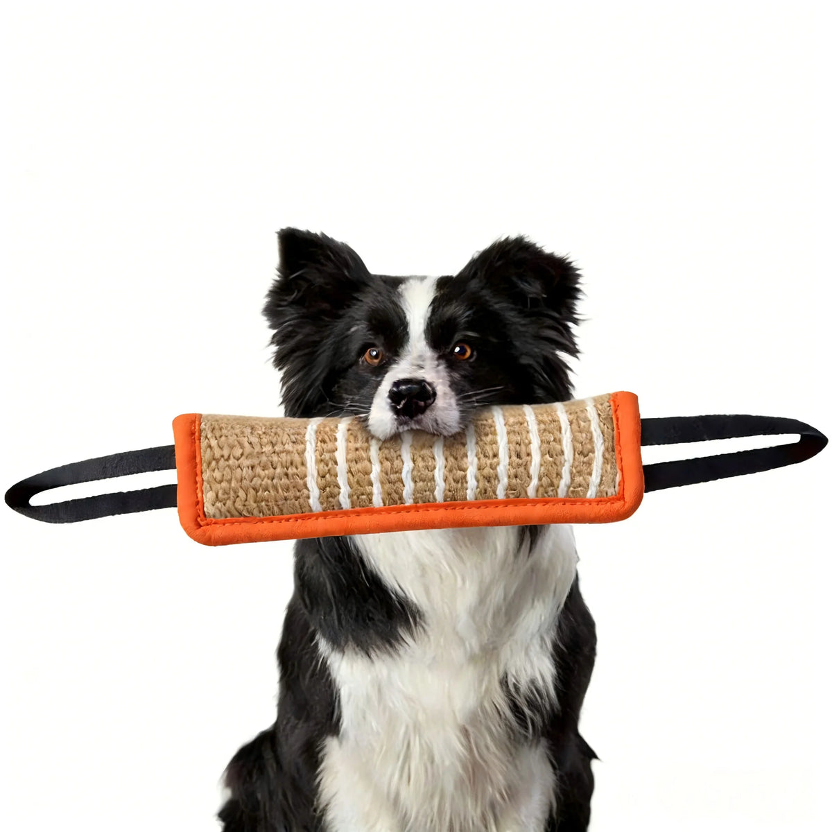 Snoutik Dog Bite Training Rod - Snoutik pet store