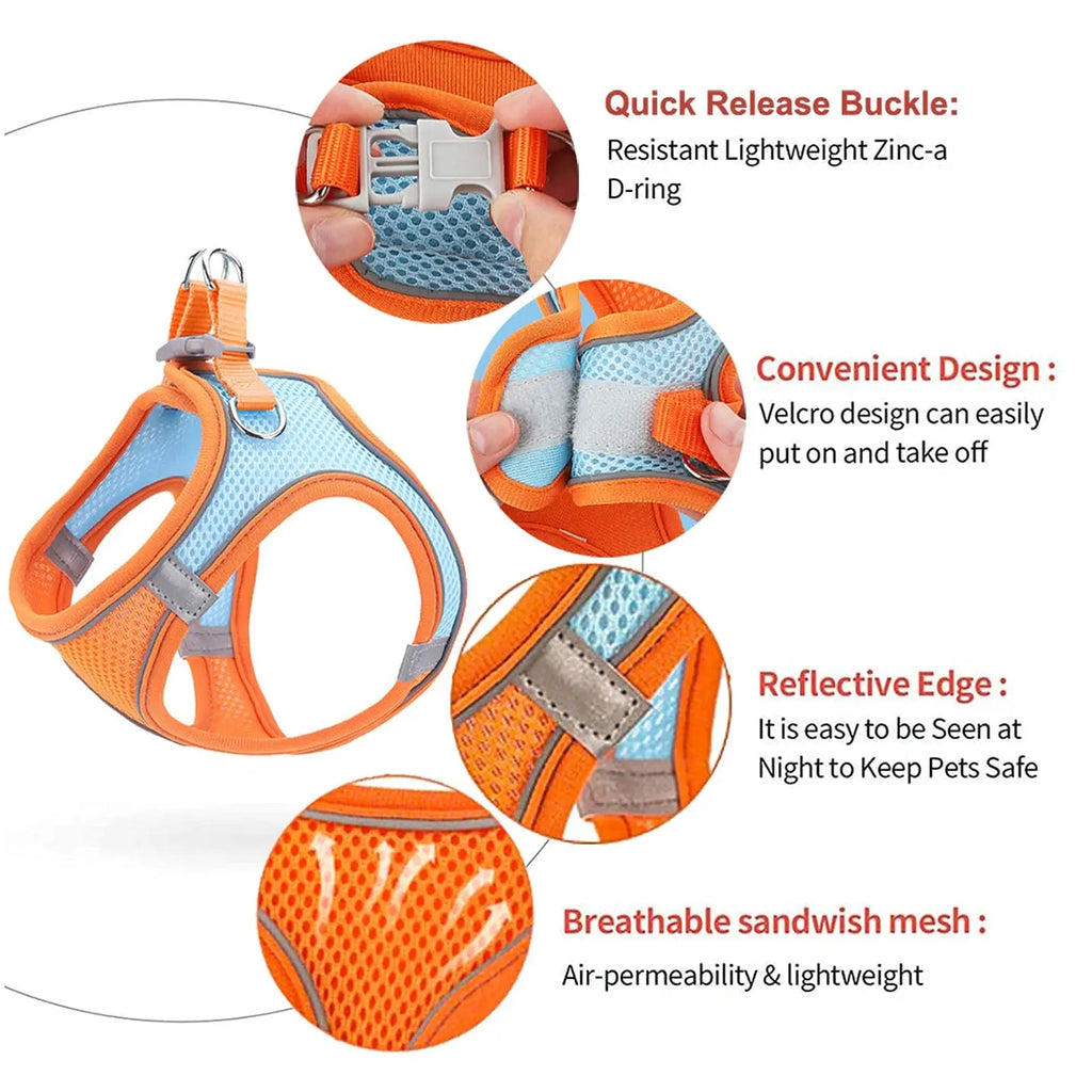 Snoutik Reflective Harness & Leash Set