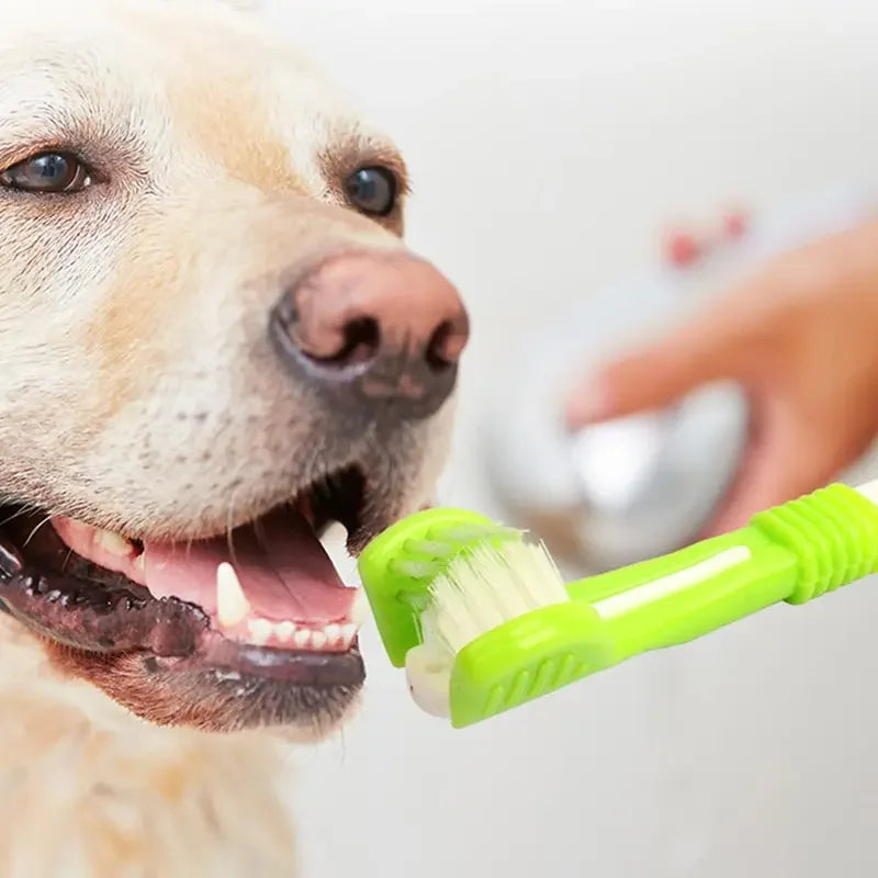 Snoutik Three‑Sided Pet Toothbrush