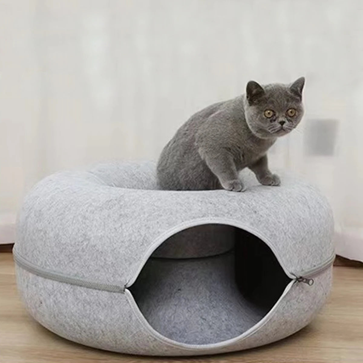 Snoutik Donut Cat Tunnel