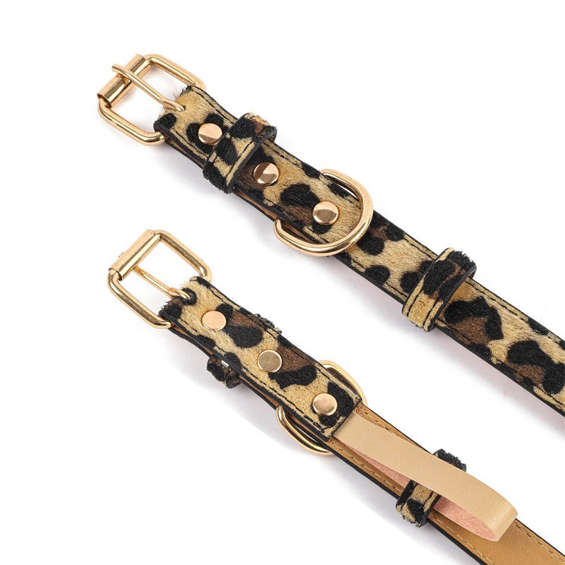 Snoutik Prestige Leather Collar for Pets