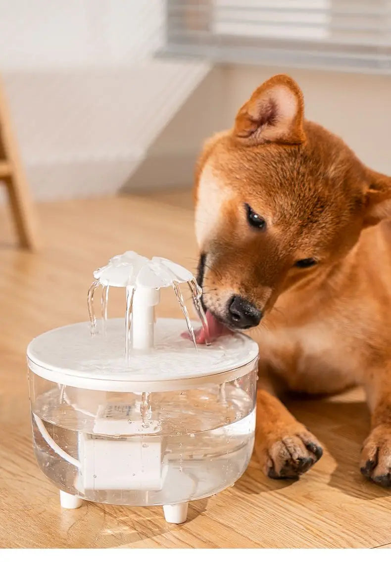 Snoutik USB Pet Water Fountain (1L)