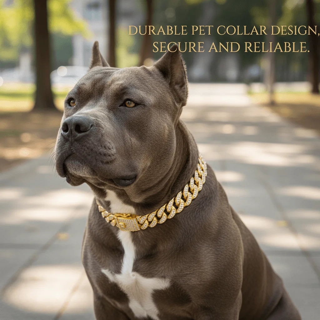 Snoutik Premium Dog Collar