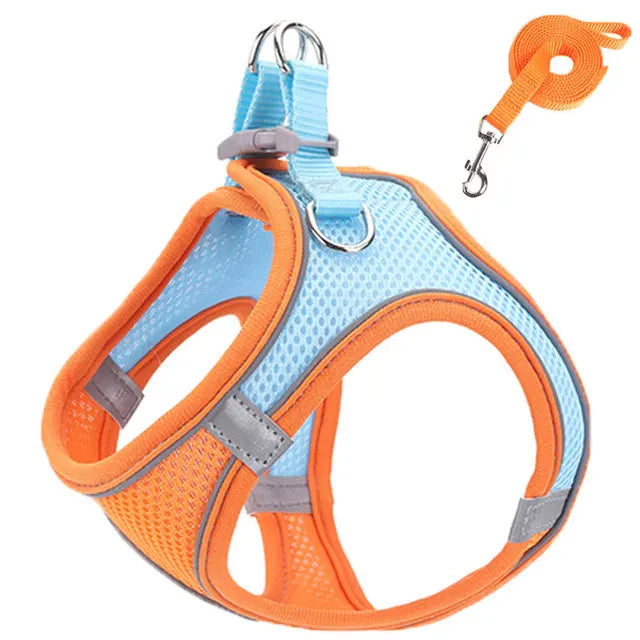 Snoutik Reflective Harness & Leash Set