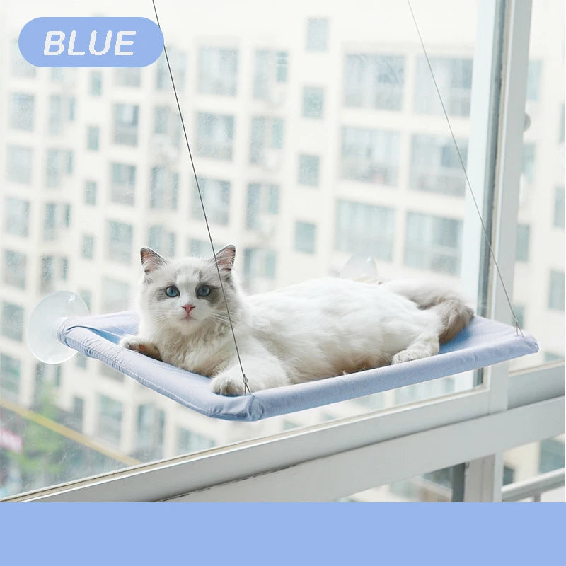 Cute cat hammock