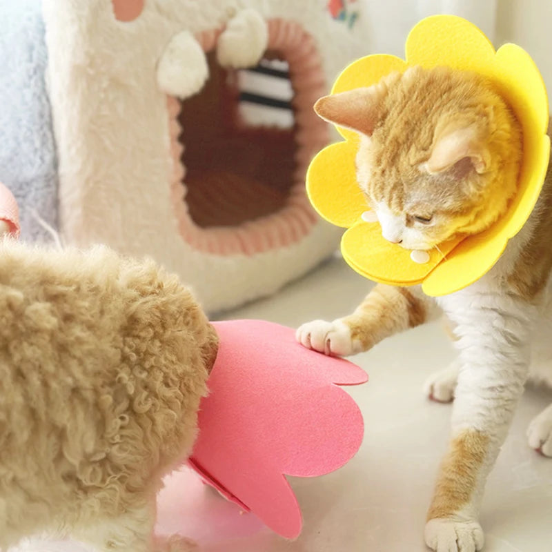 Snoutik Pet Recovery Cone Collar