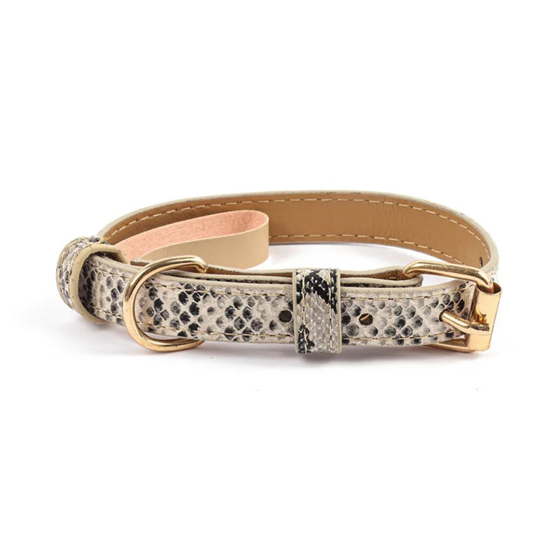 Snoutik Prestige Leather Collar for Pets