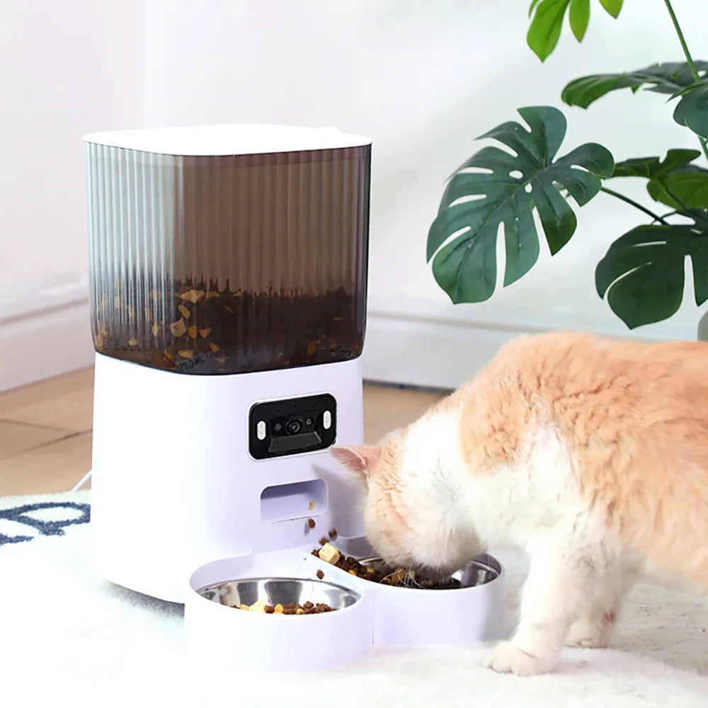 Snoutik Prestige Auto Feeder