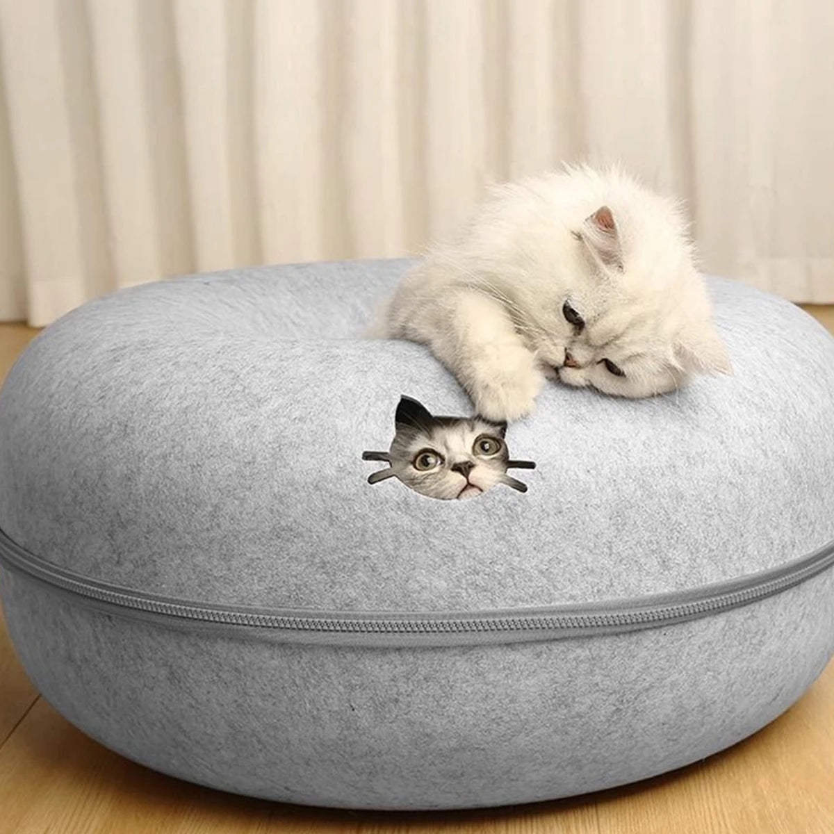 Snoutik Donut Cat Tunnel