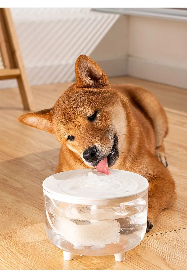 Snoutik USB Pet Water Fountain (1L)