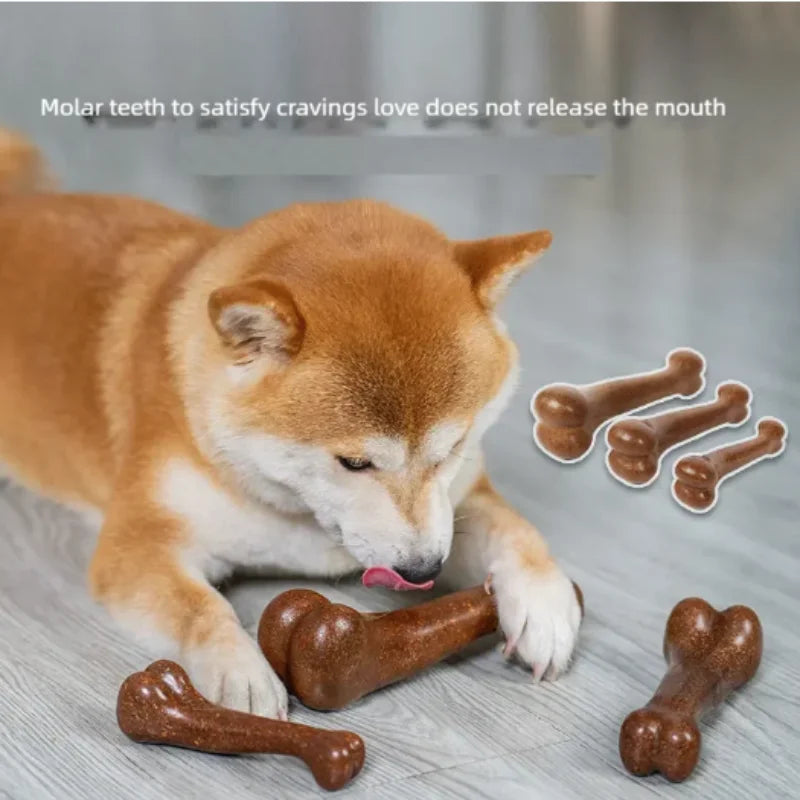 Snoutik Natural Wooden Dog Chew Bone