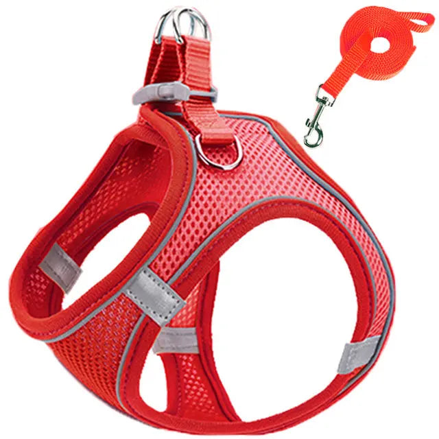 Snoutik Reflective Harness & Leash Set