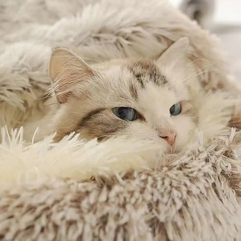 Winter Warm Semi‑Enclosed Cat Bed