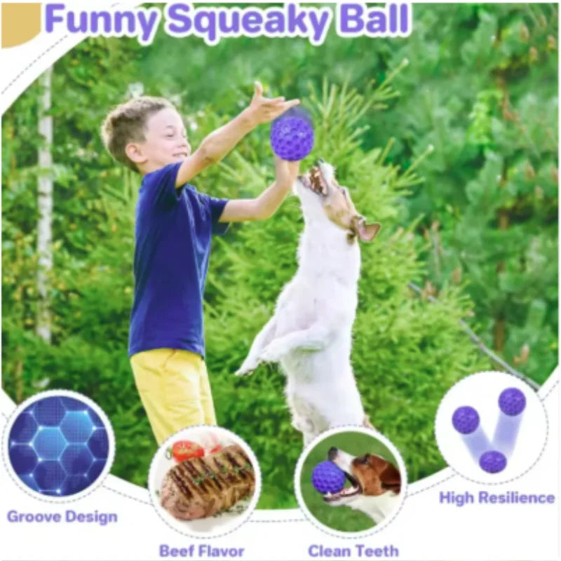 Snoutik Indestructible Rubber Dog Ball