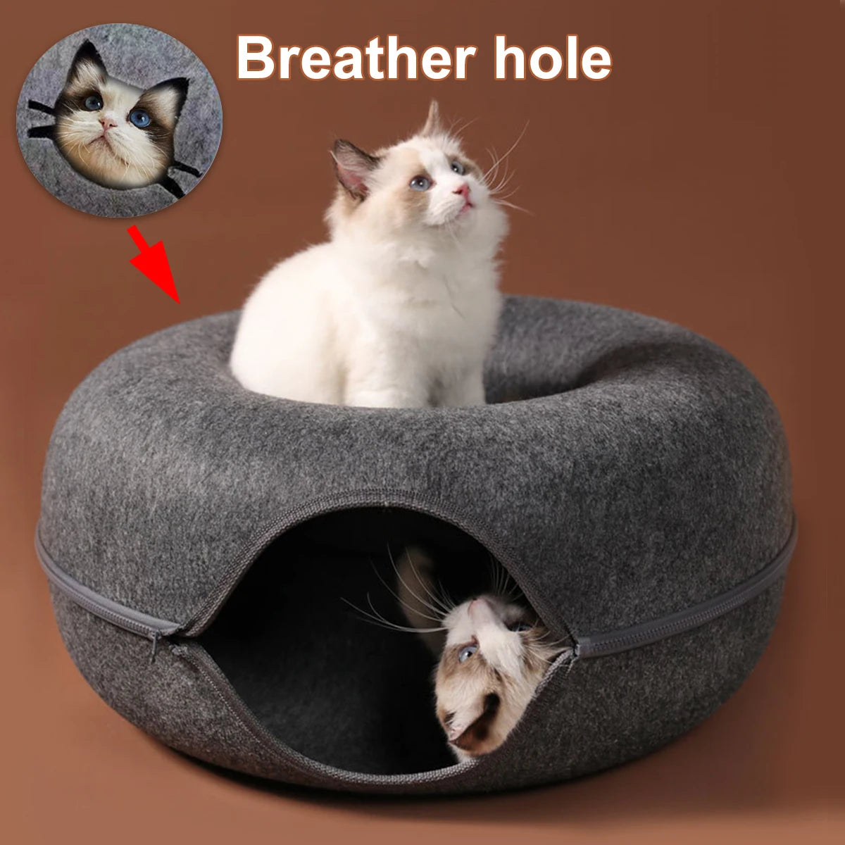 Snoutik Donut Cat Tunnel