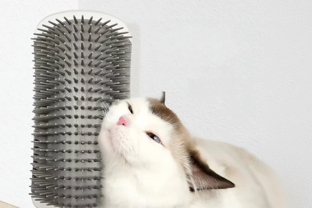 Cat Corner Self‑Grooming Brush