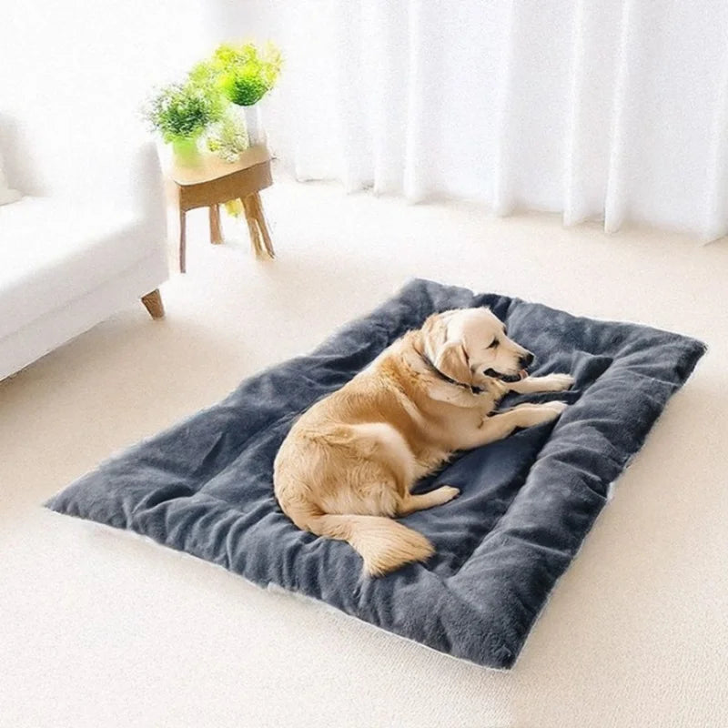 Cloud Comfort Reversible Pet Bed