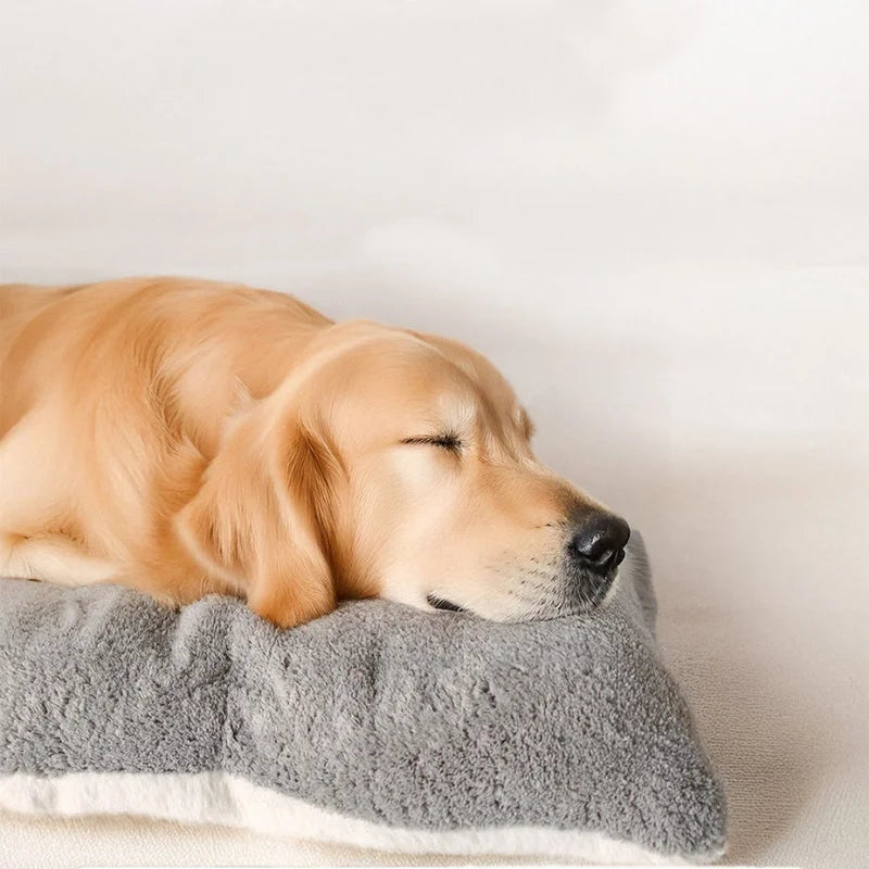 Cloud Comfort Reversible Pet Bed