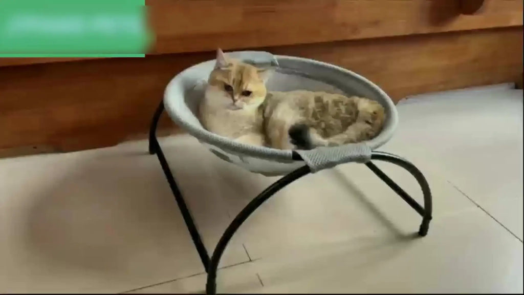 Snoutik Breathable Cat Hammock Bed