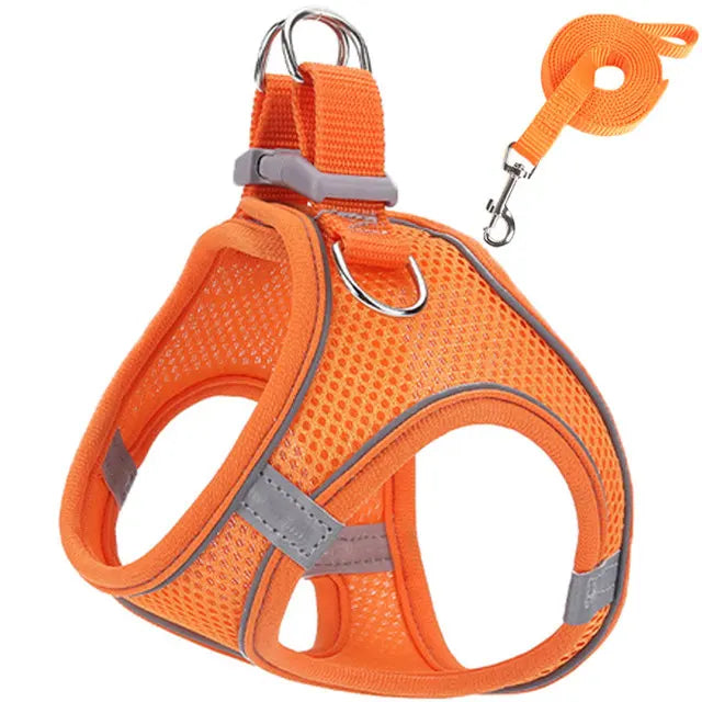 Snoutik Reflective Harness & Leash Set