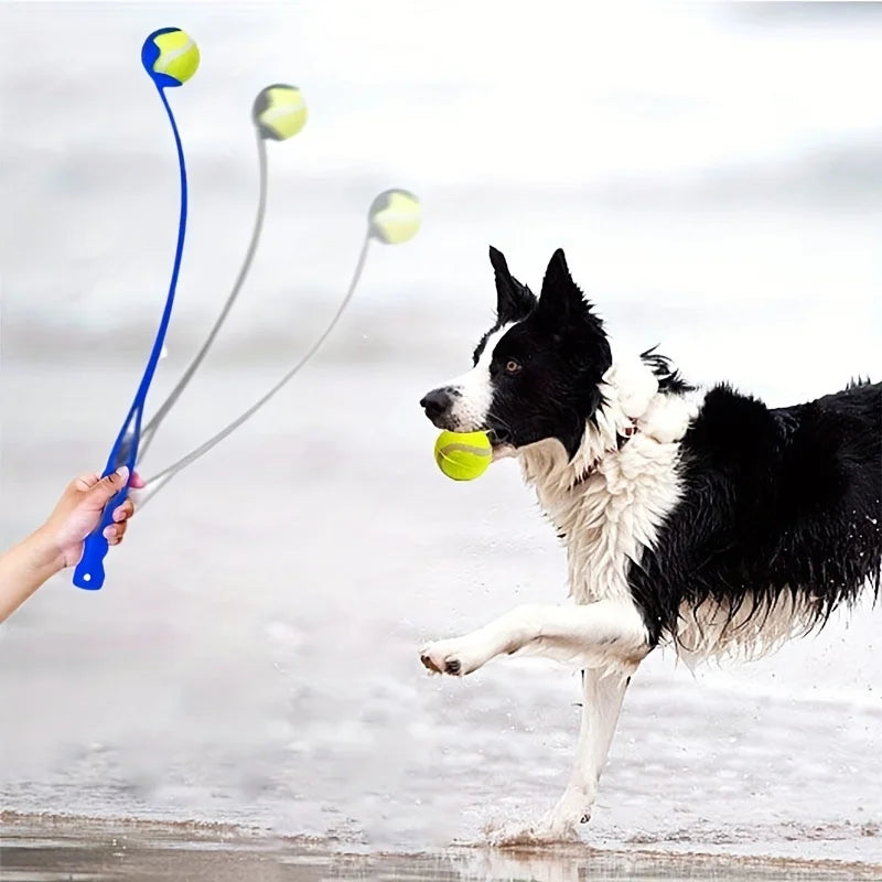 Snoutik ball Throwing Stick