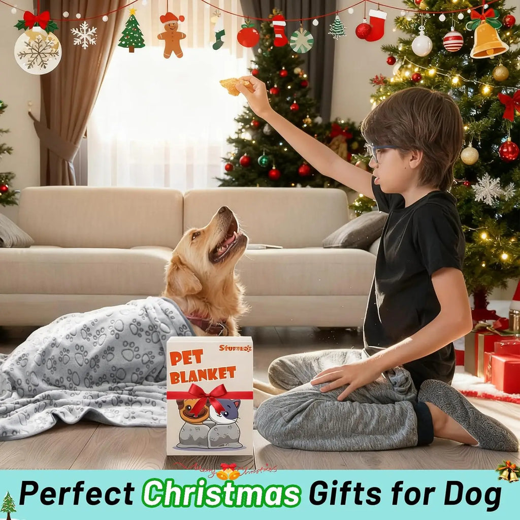 Snoutik PlushCare Pet Blanket