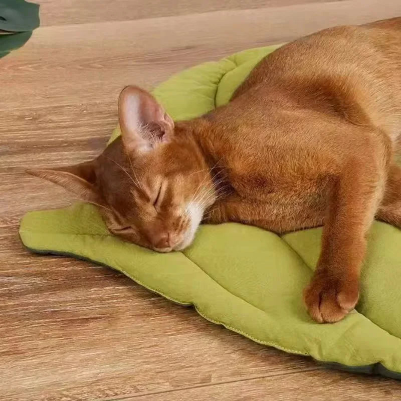 Snoutik Leaf-Cotton Pet Mat
