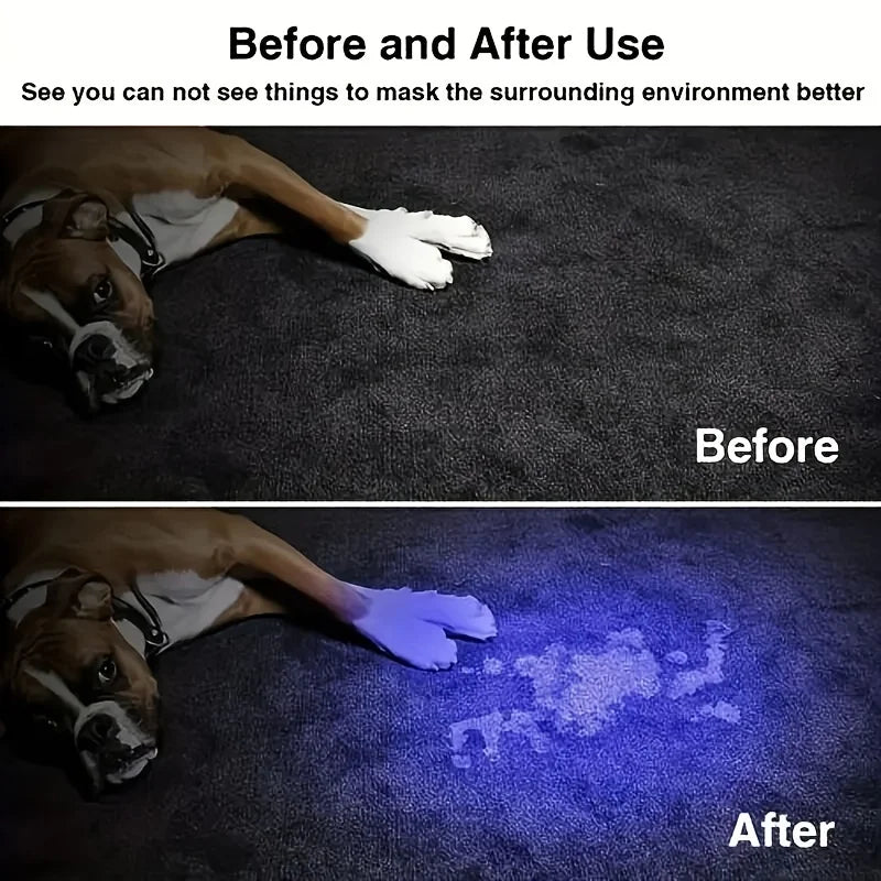 Snoutik Portable UV Flashlight (395NM)