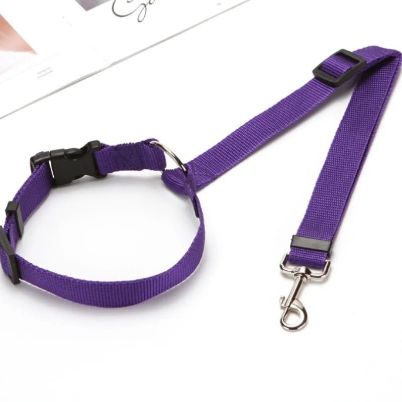 Snoutik Reflective Pet Car Harness & Leash - Snoutik pet store