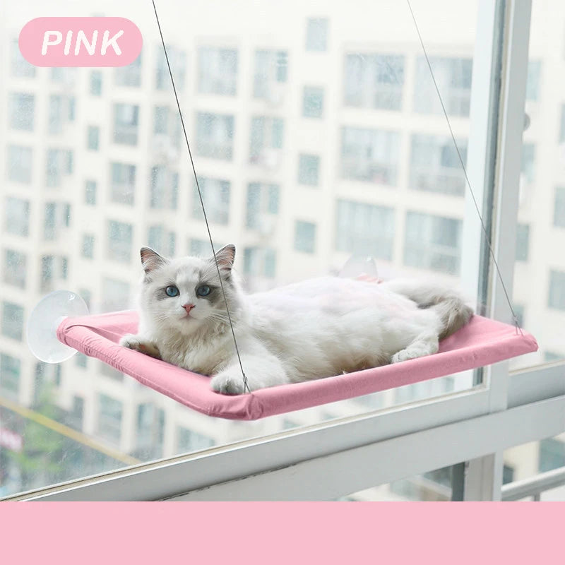 Cute cat hammock