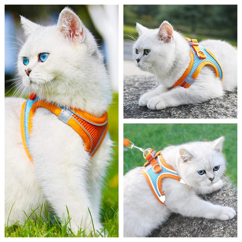 Snoutik Reflective Harness & Leash Set